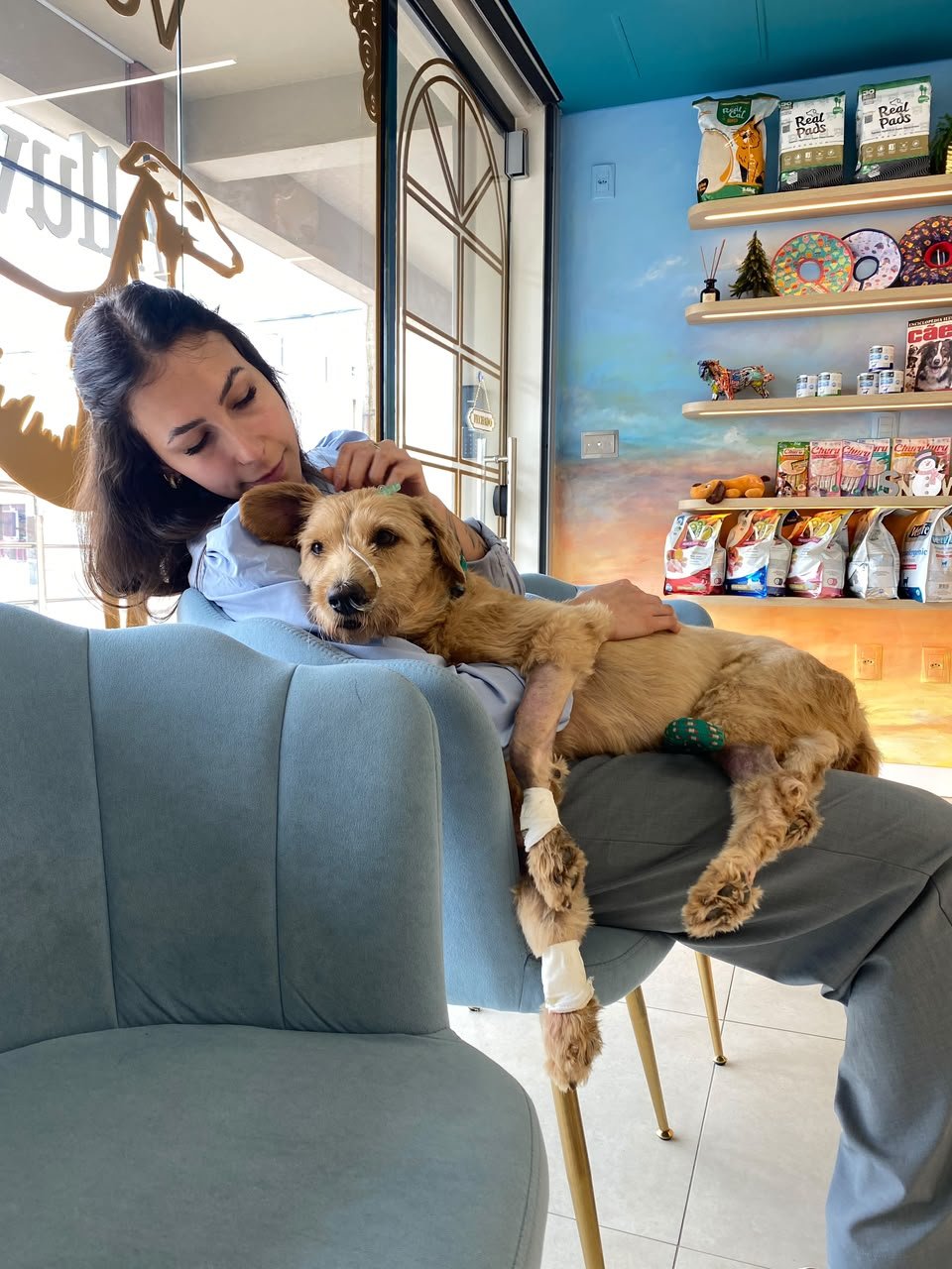 Ketlin Boff acariciando um cão marrom acomodado em uma cadeira da recepção da Alluvie.